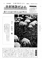 1955(昭和30)年11月中旬号