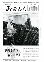1981(昭和56)年3月15日号No.916