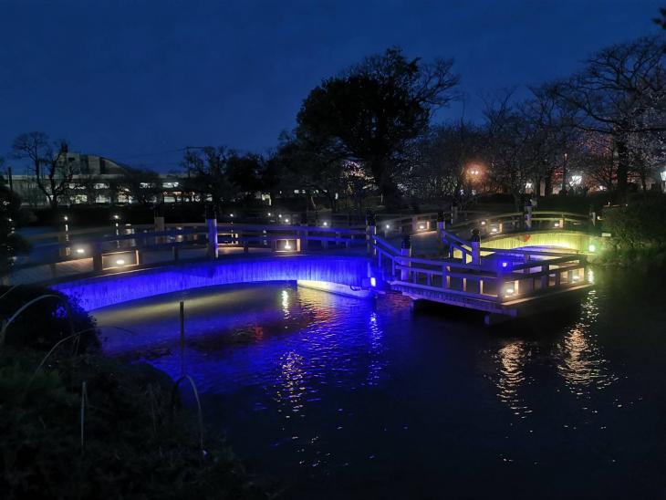 大村公園の桜田の堀にかかっている桜田橋を青と黄色でライトアップ