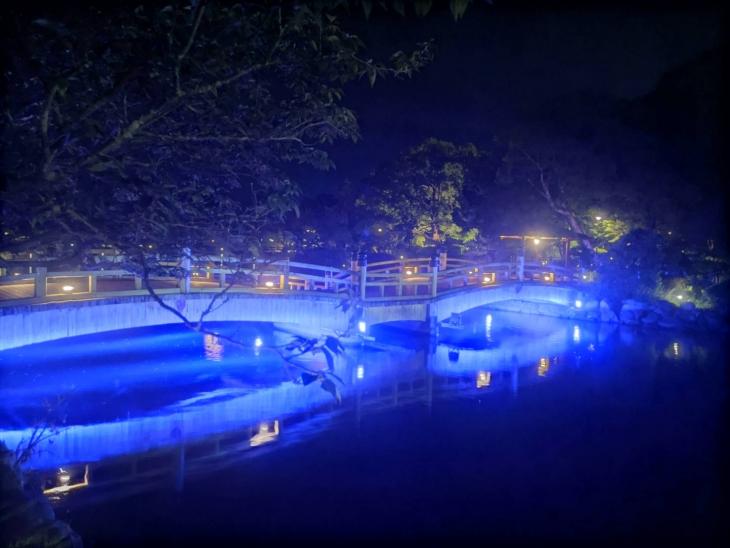大村公園桜田橋のブルーライトアップ