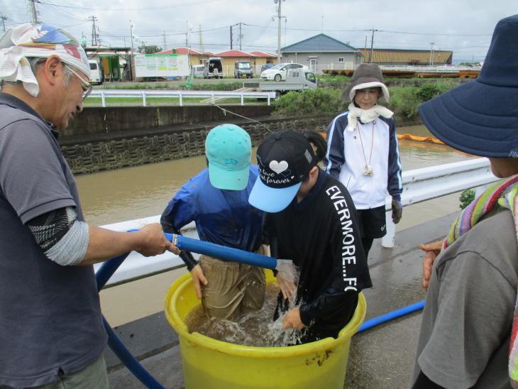 6年度田植え5