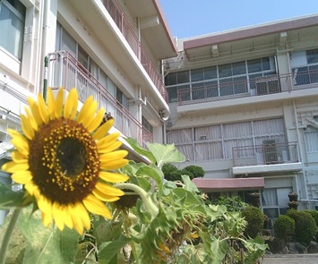 r7matubara0903p5