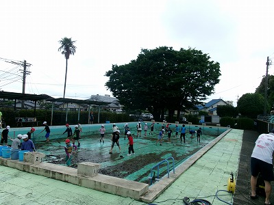 pool002