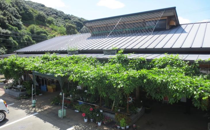 suzutatougenouen