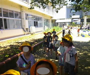 r6daisyo096p2