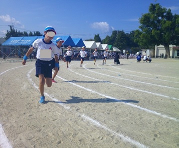r6daisyo195p1