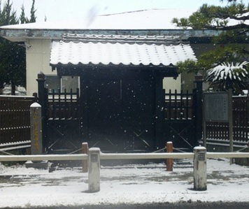 r6daisyo395p6