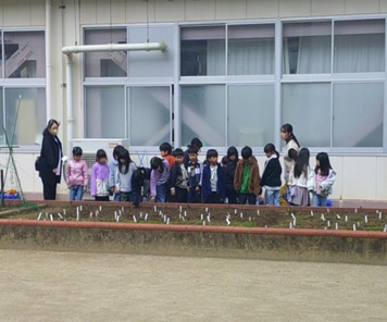 r6daisyo503p1