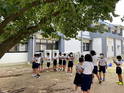 観察3