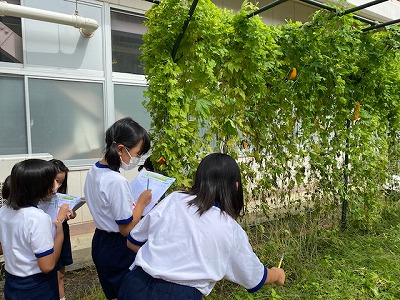 観察2