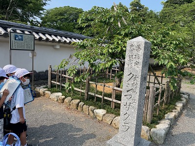 公園5