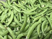 スナップエンドウ