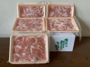 B(豚肉セット)写真