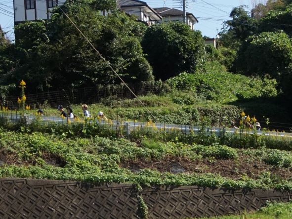 ウォーキングの様子6