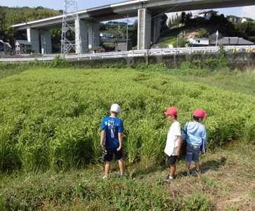 r6suzuta5nen0930