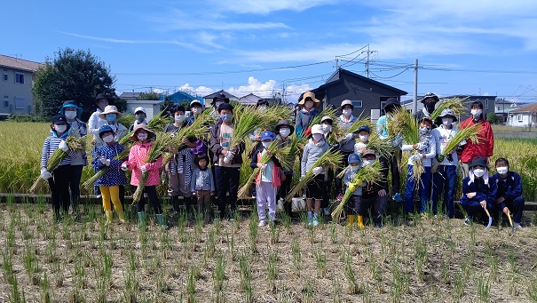 稲刈り