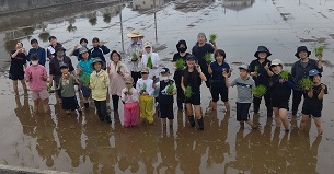 田植えの様子その3