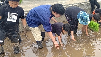 令和7年田植え1