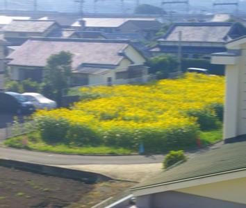 r7takesyo0804p1