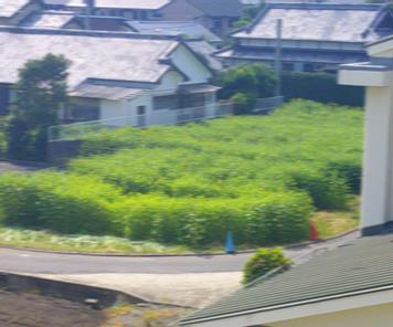 r7takesyo206p1
