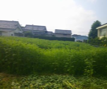 r7takesyo206p3
