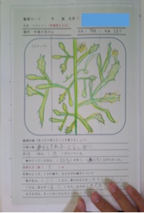 r7takesyo228p2