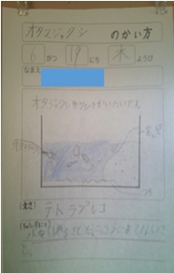 r7takesyo228p7