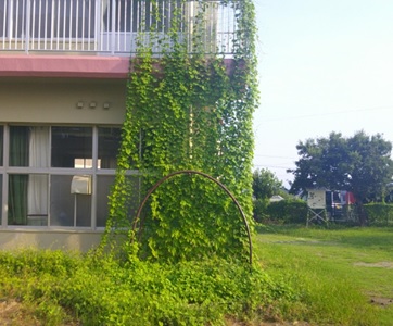 r7takesyo273p5