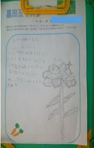 r8047p7