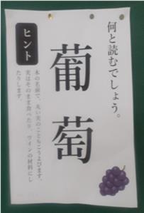 r8113p4