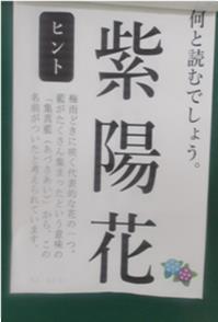 r8113p6