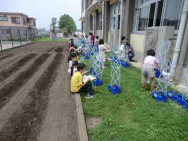 2年トマト