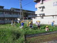 虫取り
